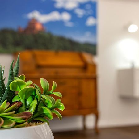 Righi Suite Apartment بولونيا المظهر الخارجي الصورة